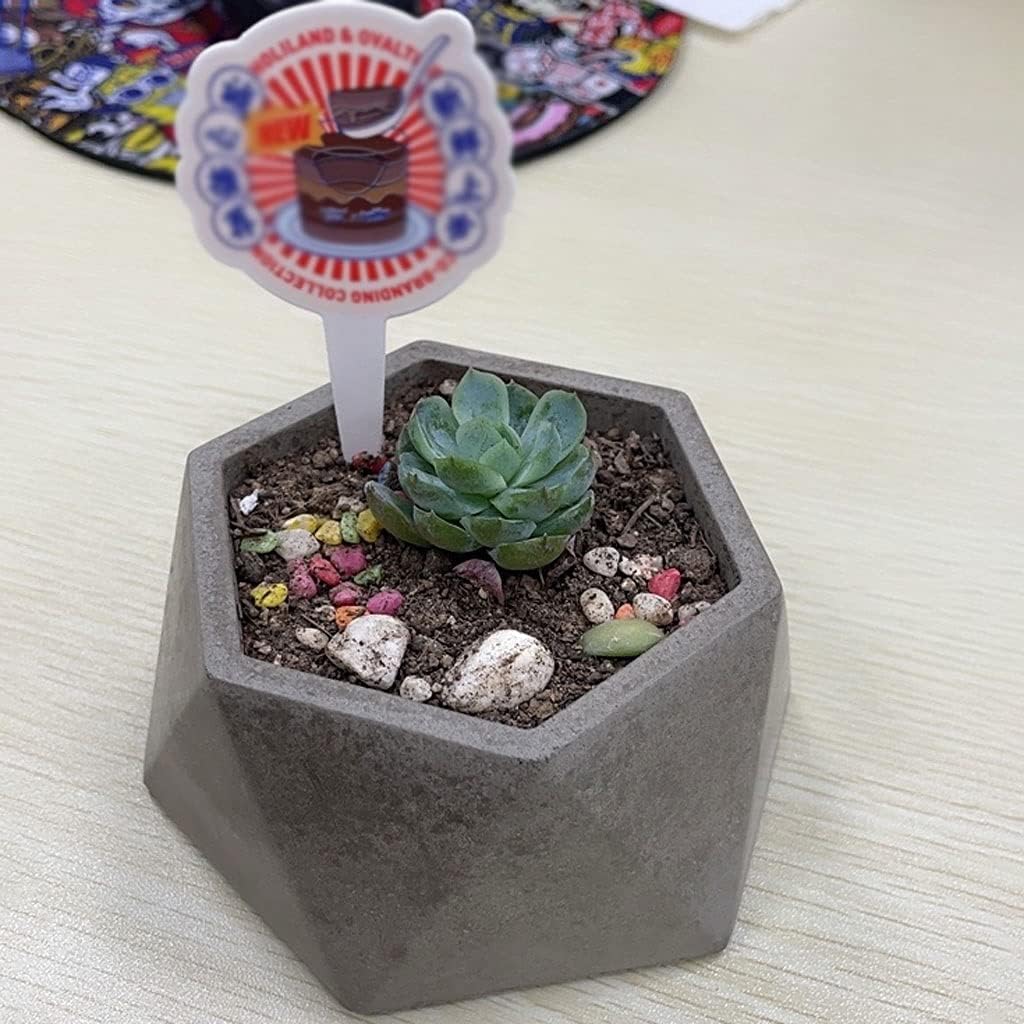 Planting Pots Cement Polygon Mini Flower Pot